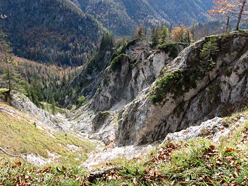 geissangerkogel